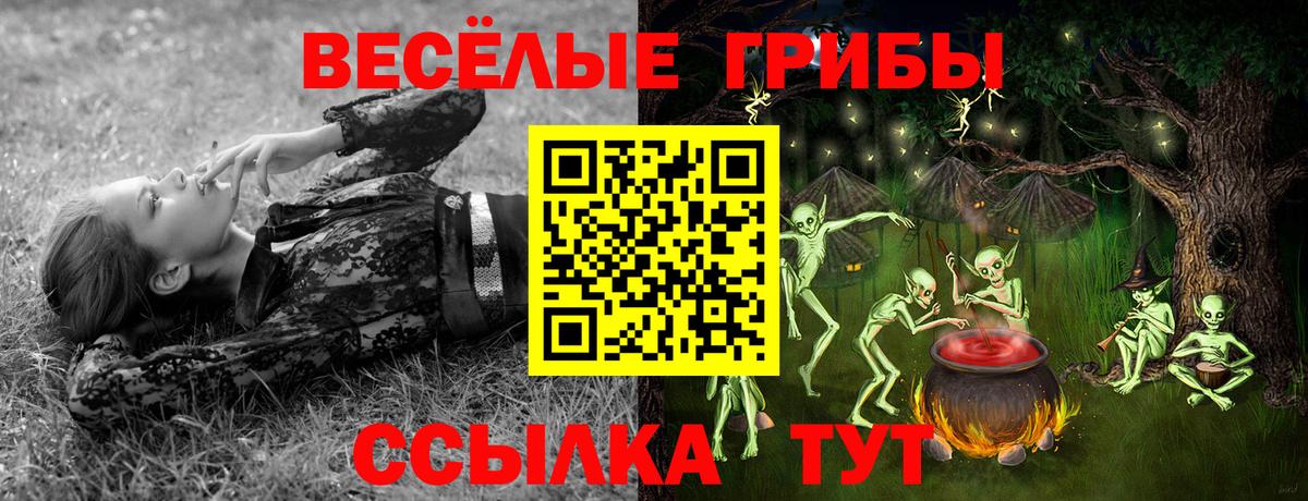Галлюциногенные грибы Cubensis  Вход с VPN  Вичуга 